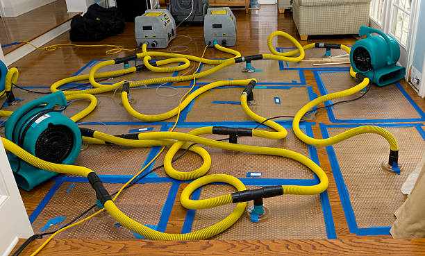 Professional Sewage Cleanup technician working in Santa Barbara, CA